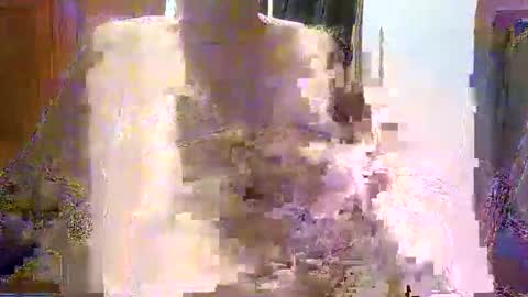 William online show from 12/21/25, 07:48