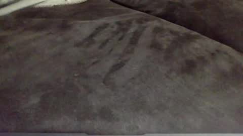 Snapshot of oktobus74 chatting on 11/13/25, 04:50 oktobus74 online show from 11/13/25, 04:50