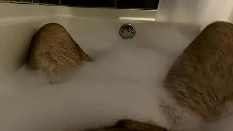 oldbones2 online show from 12/08/24, 02:07