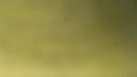 oliver_laid_2023 online show from 11/30/25, 08:51