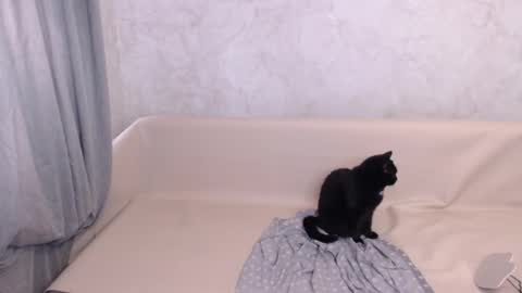 Olivia online show from 10/05/25, 11:41