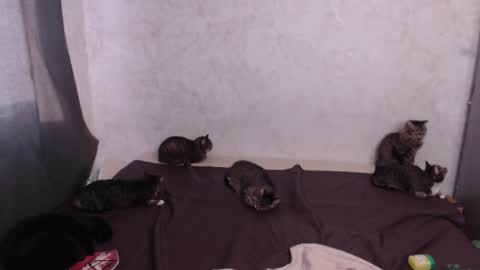 Olivia online show from 03/20/26, 12:54