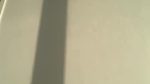 Olivia Brookes online show from 01/08/26, 08:00