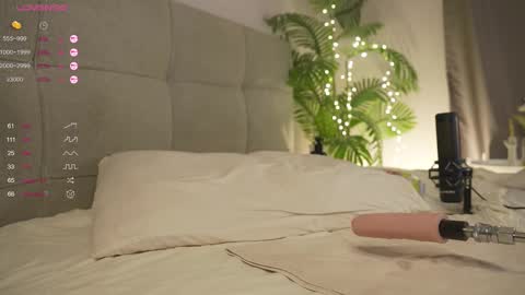 Snapshot of olsenspring chatting on 03/01/25, 06:21 Lily dont forget to follow me  good to see you all online show from 03/01/25, 06:21