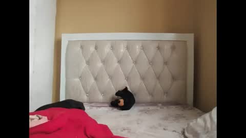 olwami4 online show from 02/22/26, 06:57