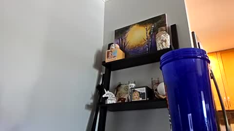 Snapshot of omgitsdon chatting on 07/28/26, 04:16 M4STERD0N - SC online show from 07/28/26, 04:16