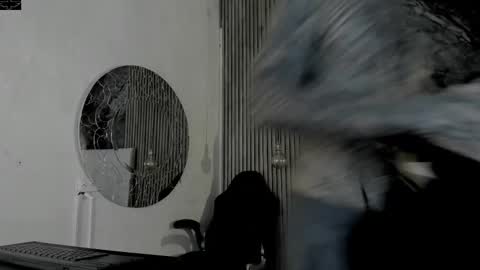     ... online show from 02/15/26, 03:47