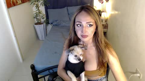 Pearl online show from 01/30/25, 04:24