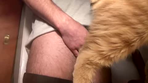 Snapshot of onedayonedollar chatting on 02/25/25, 12:34 onedayonedollar online show from 02/25/25, 12:34