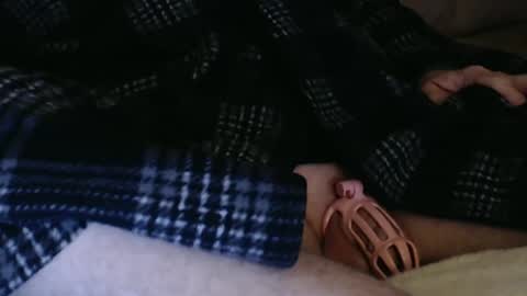 Butch online show from 12/04/24, 11:57