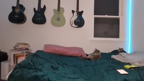 Snapshot of onlystrings chatting on 03/12/25, 02:52 Duo online show from 03/12/25, 02:52