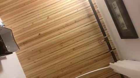 TrueBilyeu29 online show from 04/20/26, 08:28