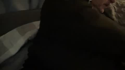 Snapshot of onthedlhere chatting on 12/24/24, 12:00 onthedlhere online show from 12/24/24, 12:00