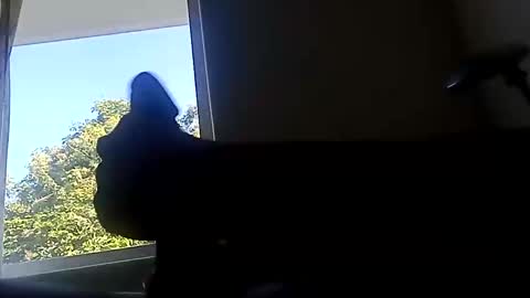 ootripoo online show from 09/19/25, 06:52