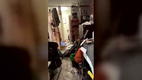 TsJojo online show from 02/06/26, 11:24