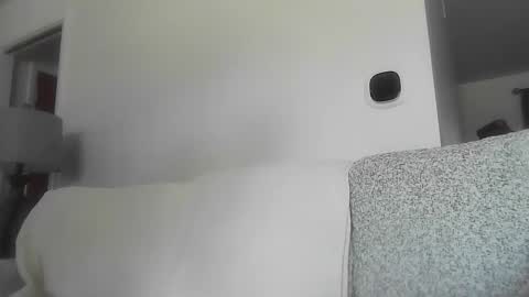 open_torequest online show from 02/23/26, 06:27