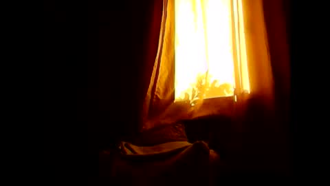 Snapshot of opree_pirocudo chatting on 01/31/26, 07:11 Opree online show from 01/31/26, 07:11