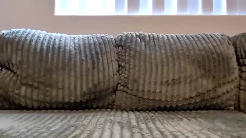 or2jrz online show from 11/18/25, 05:17