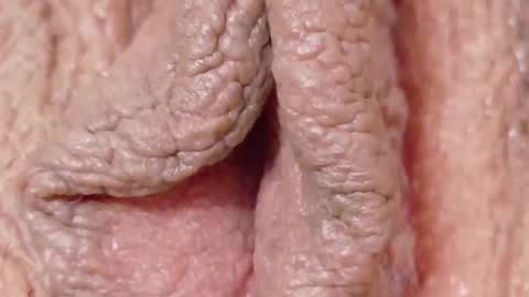 Snapshot of orchidekitty chatting on 02/01/26, 09:13 orchidekitty online show from 02/01/26, 09:13