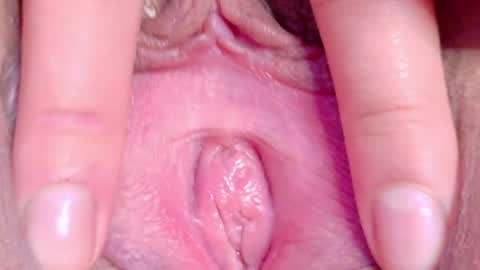 orchidekitty online show from 05/16/26, 11:14