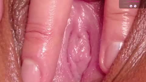 orchidekitty online show from 07/17/26, 11:53