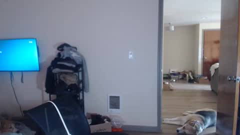 Snapshot of oregon87 chatting on 05/03/26, 12:49 The Oregon Lumberjack online show from 05/03/26, 12:49