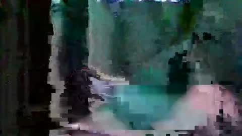 oretrail online show from 02/12/26, 06:47