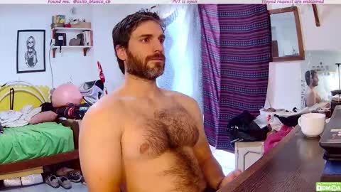 Osito Blanco online show from 12/04/25, 11:19