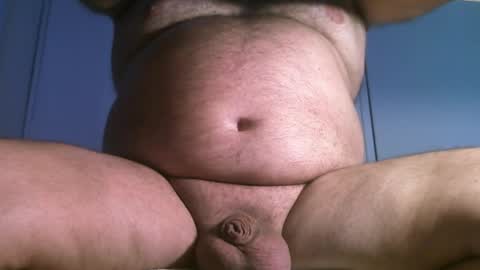 Oso Licencioso online show from 03/31/26, 04:40