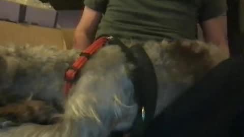 rossignol online show from 01/16/25, 06:14