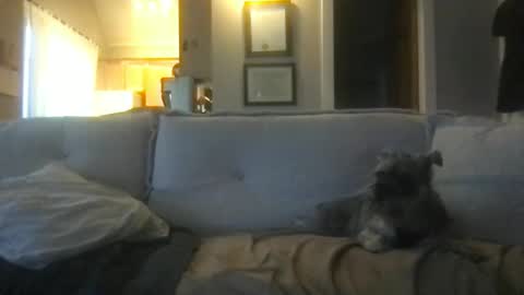 rossignol online show from 02/27/25, 01:16