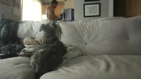 rossignol online show from 09/13/25, 04:29