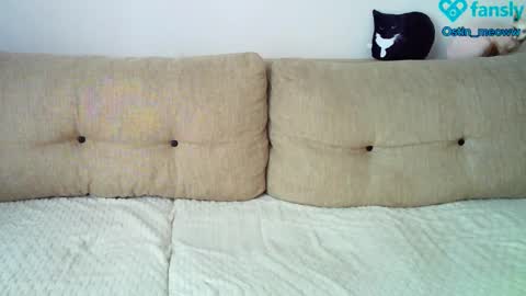 Ostin online show from 03/08/25, 05:17