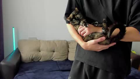 Ostin online show from 03/06/26, 08:44