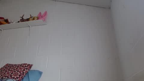 Jeannifer online show from 02/24/26, 12:47