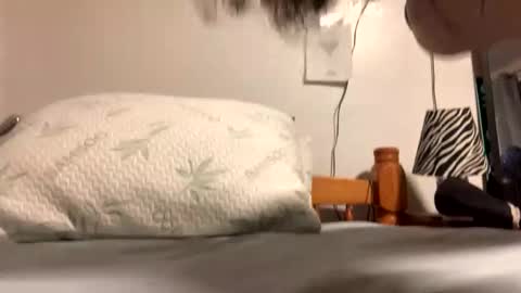 ozzy727 online show from 02/23/26, 02:53