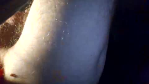 p313883 online show from 03/01/26, 04:42