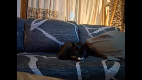 Snapshot of p326032 chatting on 11/03/25, 08:54 p326032 online show from 11/03/25, 08:54