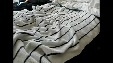 p guin12345 online show from 04/24/26, 03:25