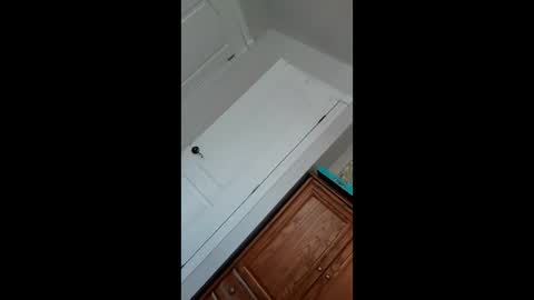 Pablo   Nina online show from 01/22/25, 05:49