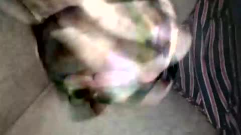 Superfeno online show from 02/19/26, 03:13