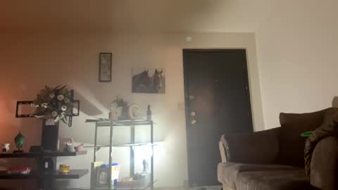 PrincessTsVivian online show from 12/17/24, 11:59