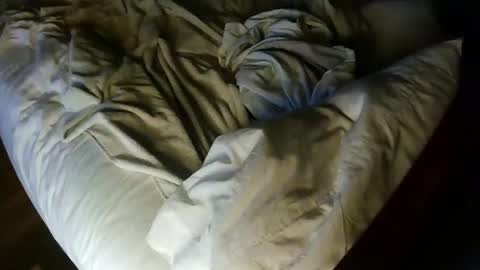 pale001zan online show from 09/29/25, 08:08