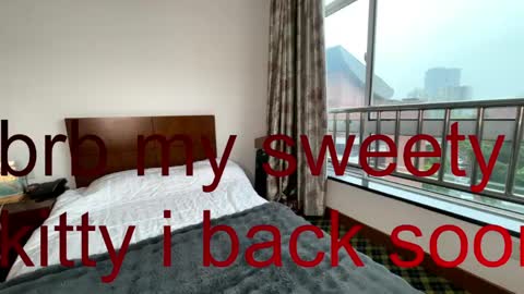 Paw Paw online show from 04/14/26, 08:42