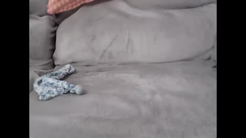 pal online show from 02/27/26, 08:25