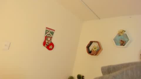 Paloma  online show from 12/19/25, 08:27