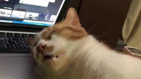 Pam online show from 03/04/25, 05:32