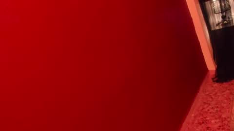  P A M  online show from 01/15/26, 08:56