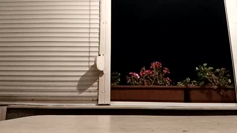 angel hris online show from 11/04/25, 05:34