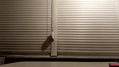 angel hris online show from 01/14/26, 04:45